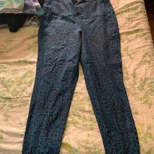 Active pants from torrid